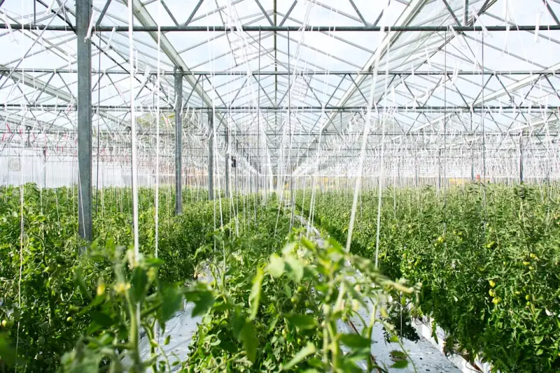 嘉兴建筑项目管线综合优化方案设计与应用实践