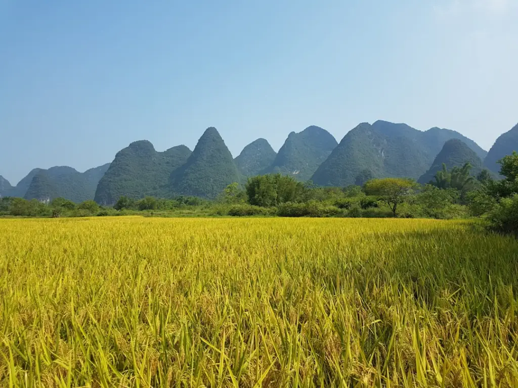 BIM管线综合碰撞检查技术要点与设计优化方案解析