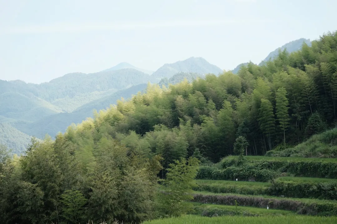 建筑模型碰撞检查在管线综合中的应用与常见问题解析